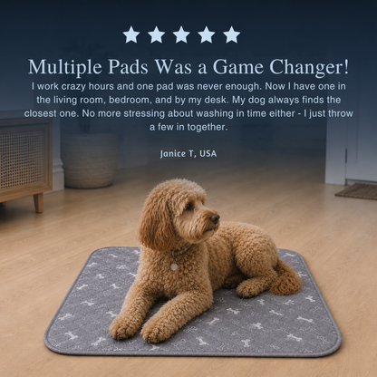Sorba™ Dog Pad