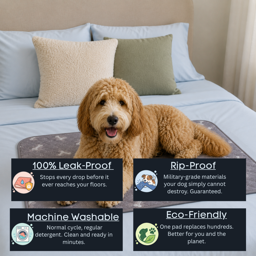 Sorba™ Dog Pad